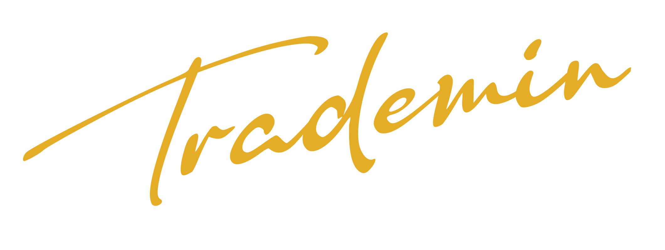 Trademin International